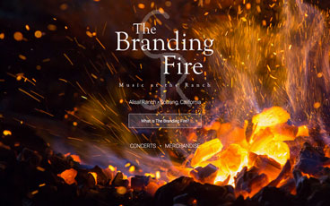 Branding Fire website